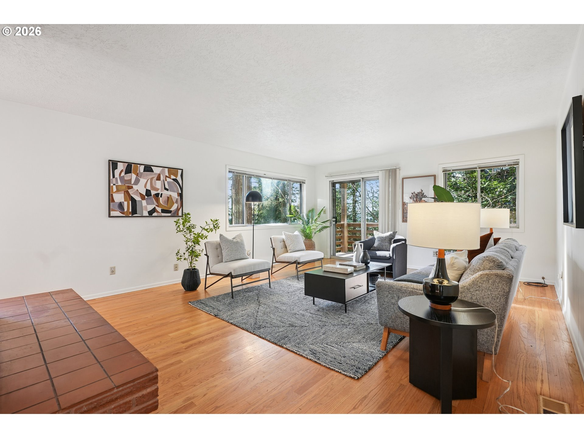 Living Room/Entrance