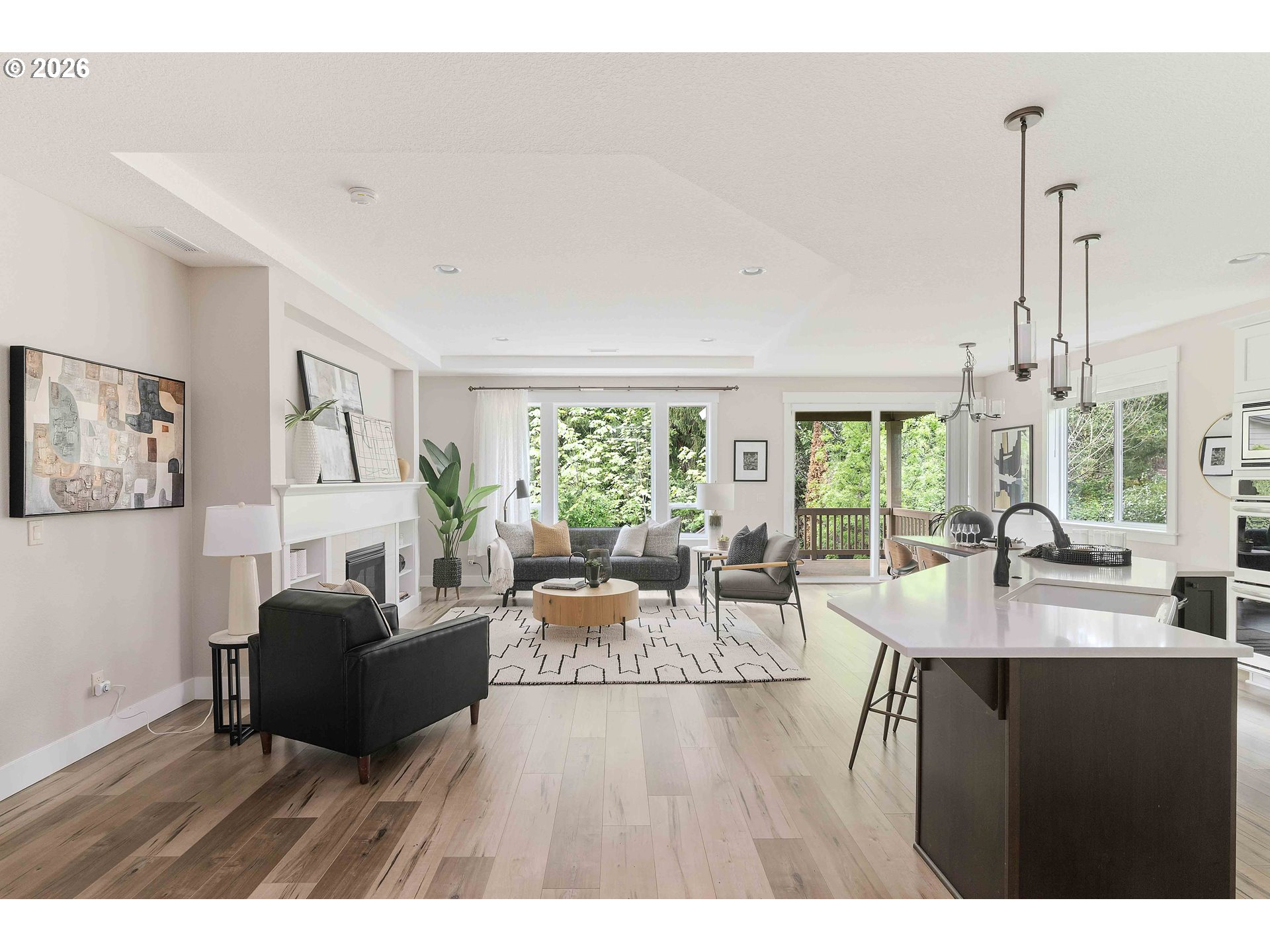 Living Room/Entrance