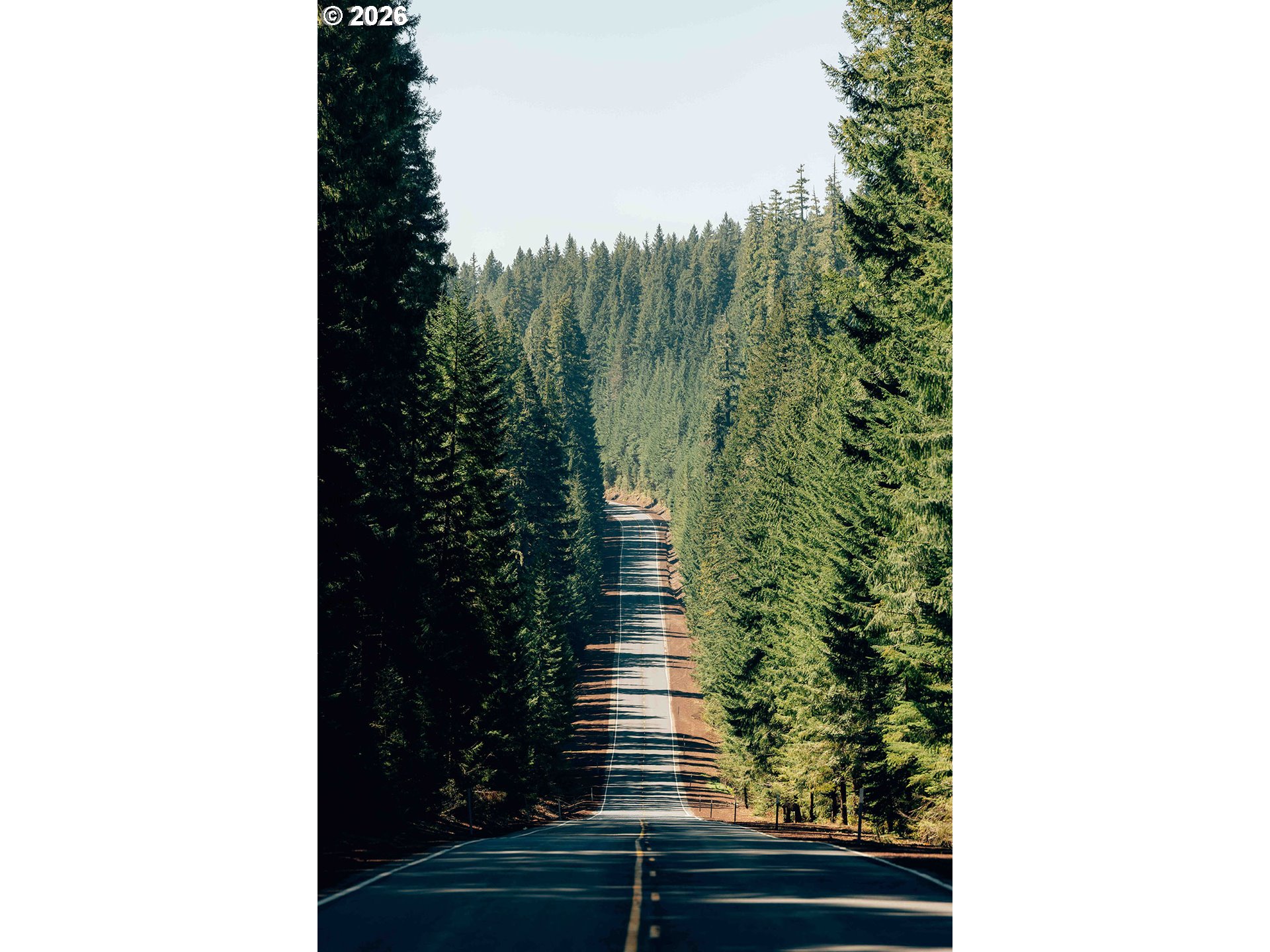 slide-36
